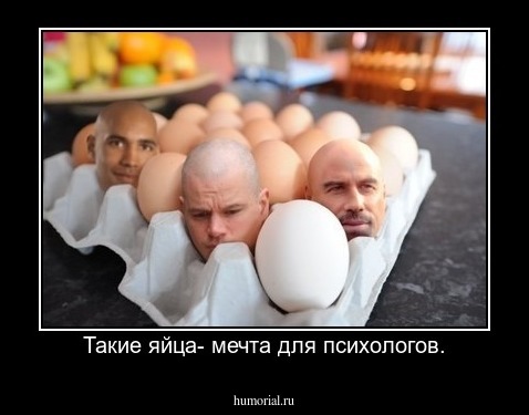 Такие яйца- мечта для психологов.