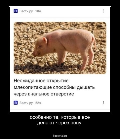 особенно те, которые все делают через попу