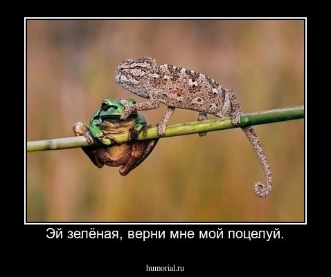 Эй зелёная, верни мне мой поцелуй.