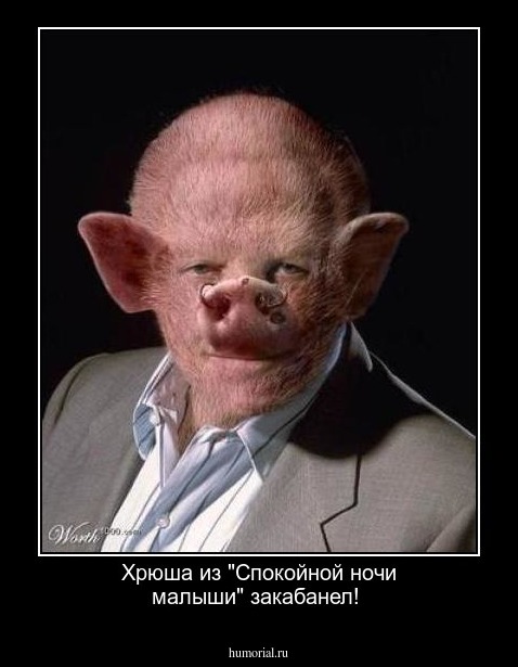 Хрюша из "Спокойной ночи малыши" закабанел!