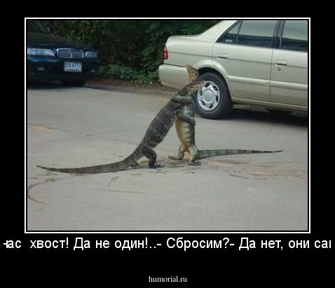 - У нас  хвост! Да не один!..- Сбросим?- Да нет, они сами...