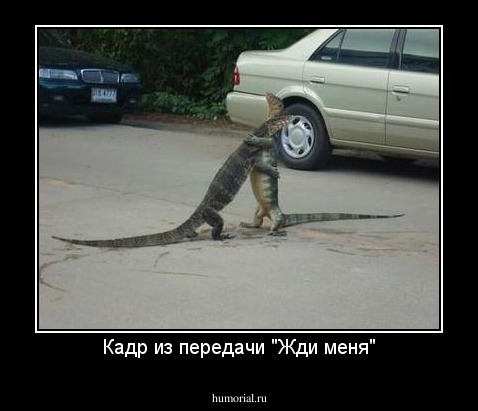 Кадр из передачи "Жди меня"