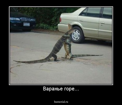 Варанье горе...