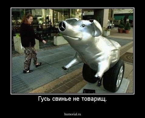 Гусь свинье не товарищ.