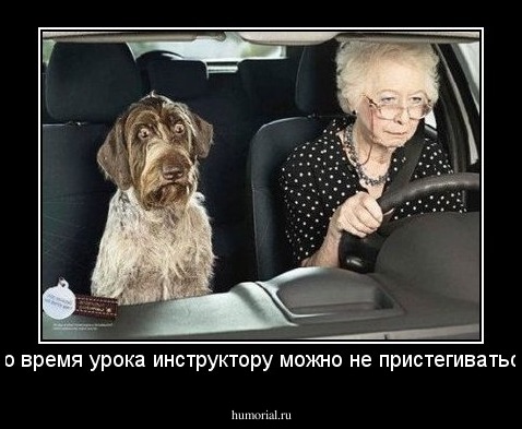 во время урока инструктору можно не пристегиваться