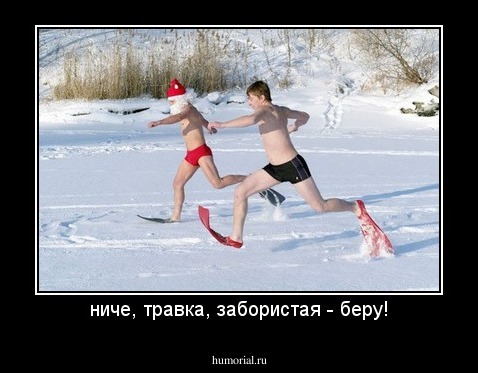 ниче, травка, забористая - беру!