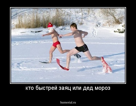 кто быстрей заяц или дед мороз