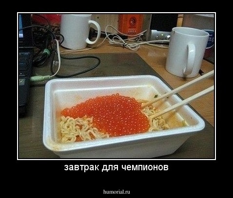 завтрак для чемпионов