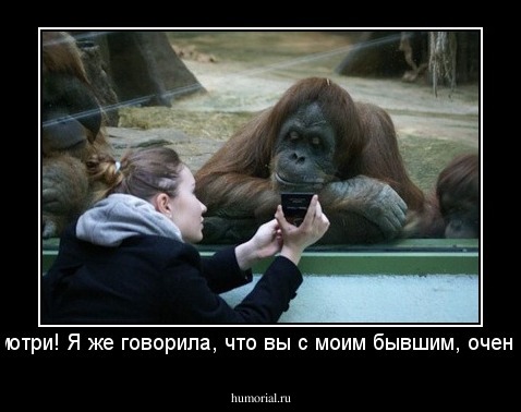 -Вот,посмотри! Я же говорила, что вы с моим бывшим, очень похожи.