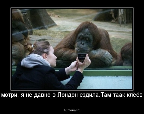 Вот смотри, я не давно в Лондон ездила.Там таак клёёвооо!!!