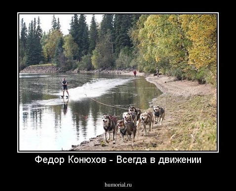 Федор Конюхов - Всегда в движении