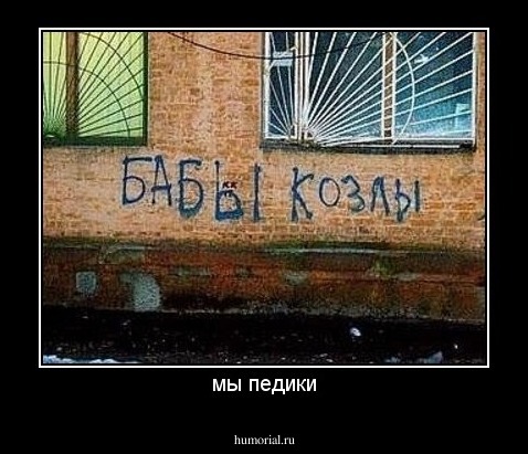 мы педики
