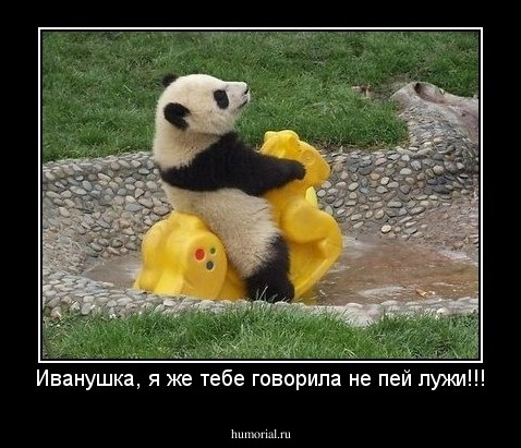 Иванушка, я же тебе говорила не пей лужи!!!
