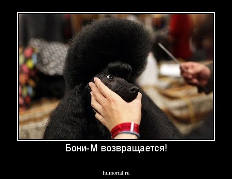 Бони-М возвращается!