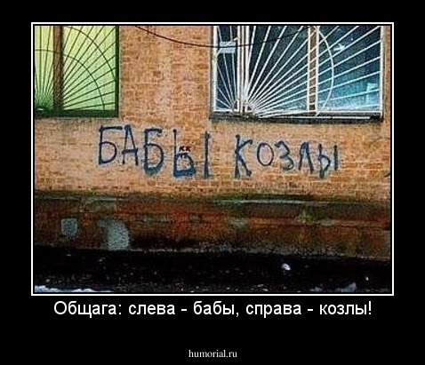 Общага: слева - бабы, справа - козлы!