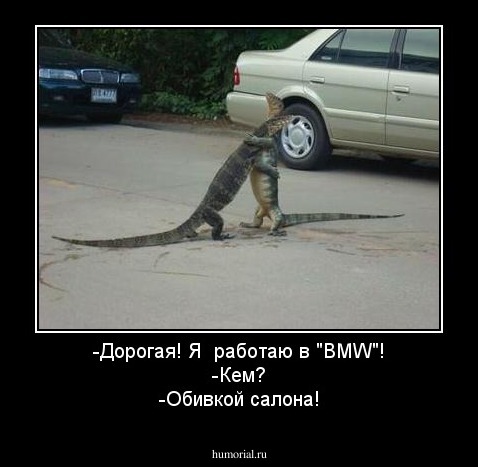 -Дорогая! Я  работаю в "BMW"!
-Кем?
-Обивкой салона!