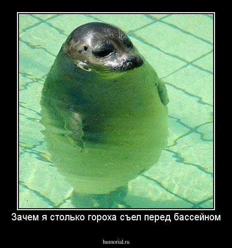 Зачем я столько гороха съел перед бассейном