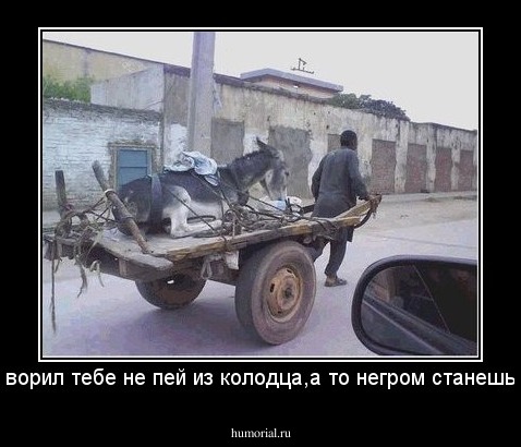 говорил тебе не пей из колодца,а то негром станешь...