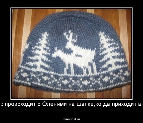 вот,что происходит с Оленями на шапке,когда приходит весна...