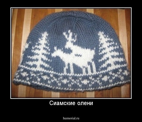 Сиамские олени