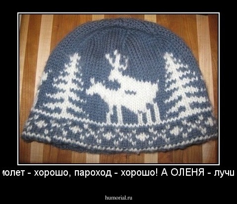 Самолет - хорошо, пароход - хорошо! А ОЛЕНЯ - лучше!!!