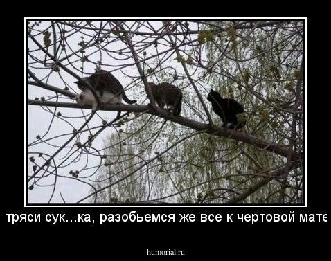 не тряси сук...ка, разобьемся же все к чертовой матери