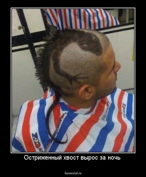 Остриженный хвост вырос за ночь 