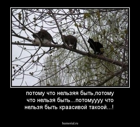 потому что нельзяя быть,потому что нельзя быть...потомуууу что нельзя быть краасивой такоой...!