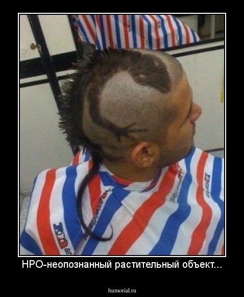 НРО-неопознанный растительный объект...
