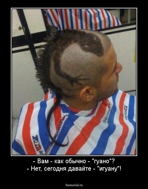 - Вам - как обычно - "гуано"?
- Нет, сегодня давайте - "игуану"!