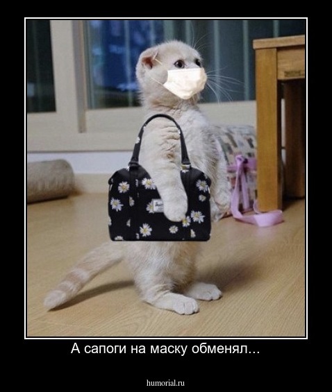 А сапоги на маску обменял...