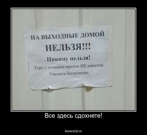 Все здесь сдохнете!