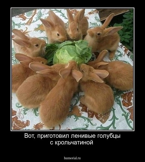 Вот, приготовил ленивые голубцы с крольчатиной