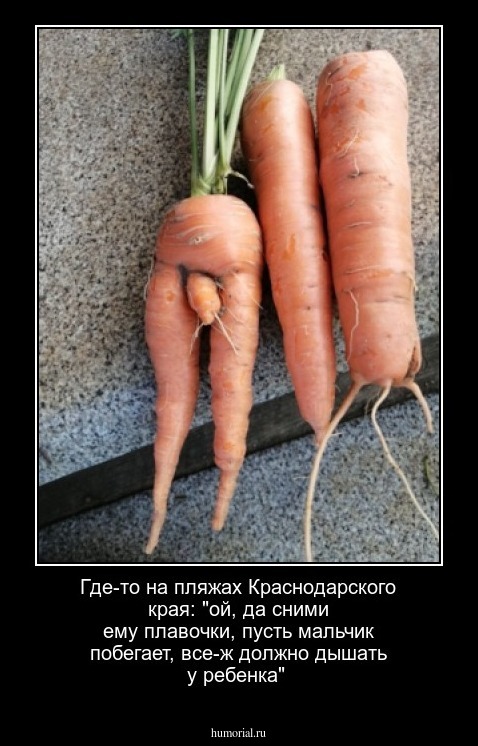 Где-то на пляжах Краснодарского края: "ой, да сними ему плавочки, пусть мальчик побегает, все-ж должно дышать у ребенка"