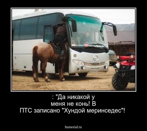 : "Да никакой у меня не конь!  В ПТС  записано "Хундой меринседес"!