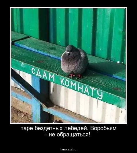 паре бездетных лебедей. Воробьям - не обращаться!