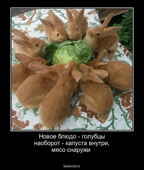 Новое блюдо - голубцы наоборот - капуста внутри, мясо снаружи 