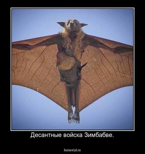 Десантные войска Зимбабве.