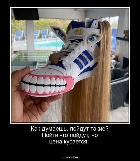 Как думаешь, пойдут такие? Пойти -то пойдут, но цена кусается. 