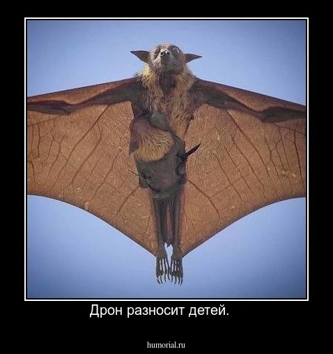 Дрон разносит детей.   