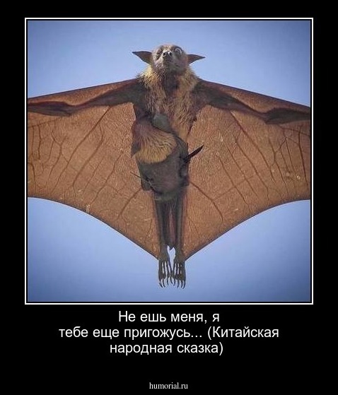 Не ешь меня, я тебе еще пригожусь... (Китайская народная сказка) 