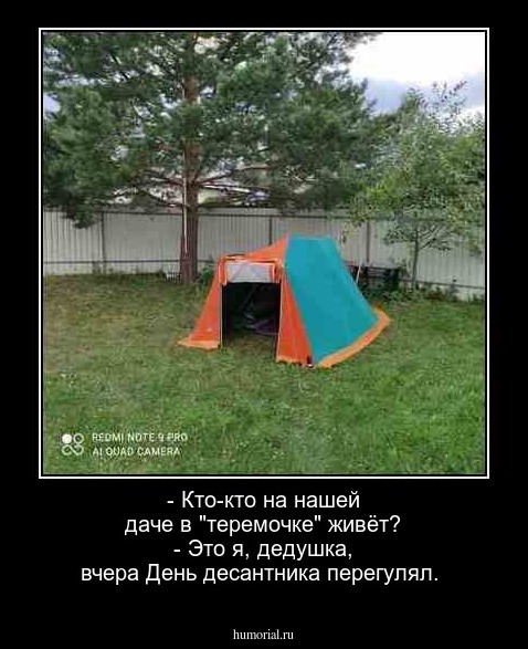  - Кто-кто на нашей даче в "теремочке" живёт?
 -  Это я, дедушка, вчера День десантника перегулял.