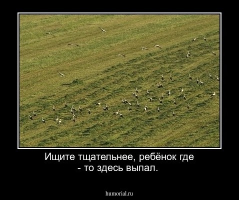 Ищите тщательнее, ребёнок где - то здесь выпал.   
