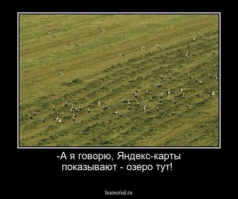 -А я говорю, Яндекс-карты показывают - озеро тут!
