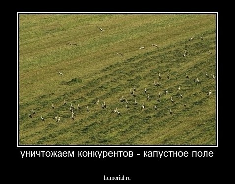 уничтожаем конкурентов - капустное поле