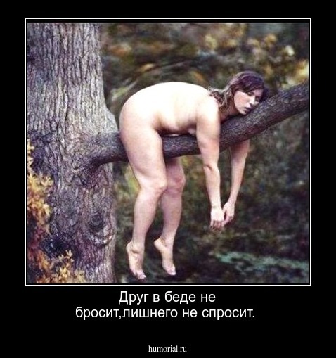 Друг в беде не бросит,лишнего не спросит.