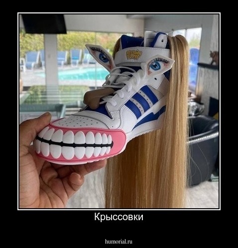 Крыссовки