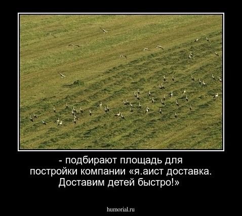 - подбирают площадь для постройки компании «я.аист доставка. Доставим детей быстро!»