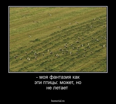 - моя фантазия как эти птицы: может, но не летает