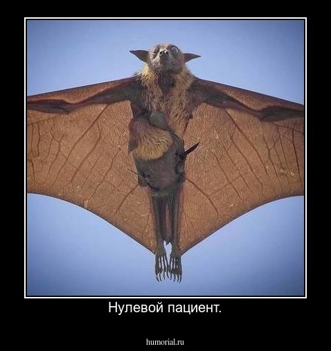 Нулевой пациент.
